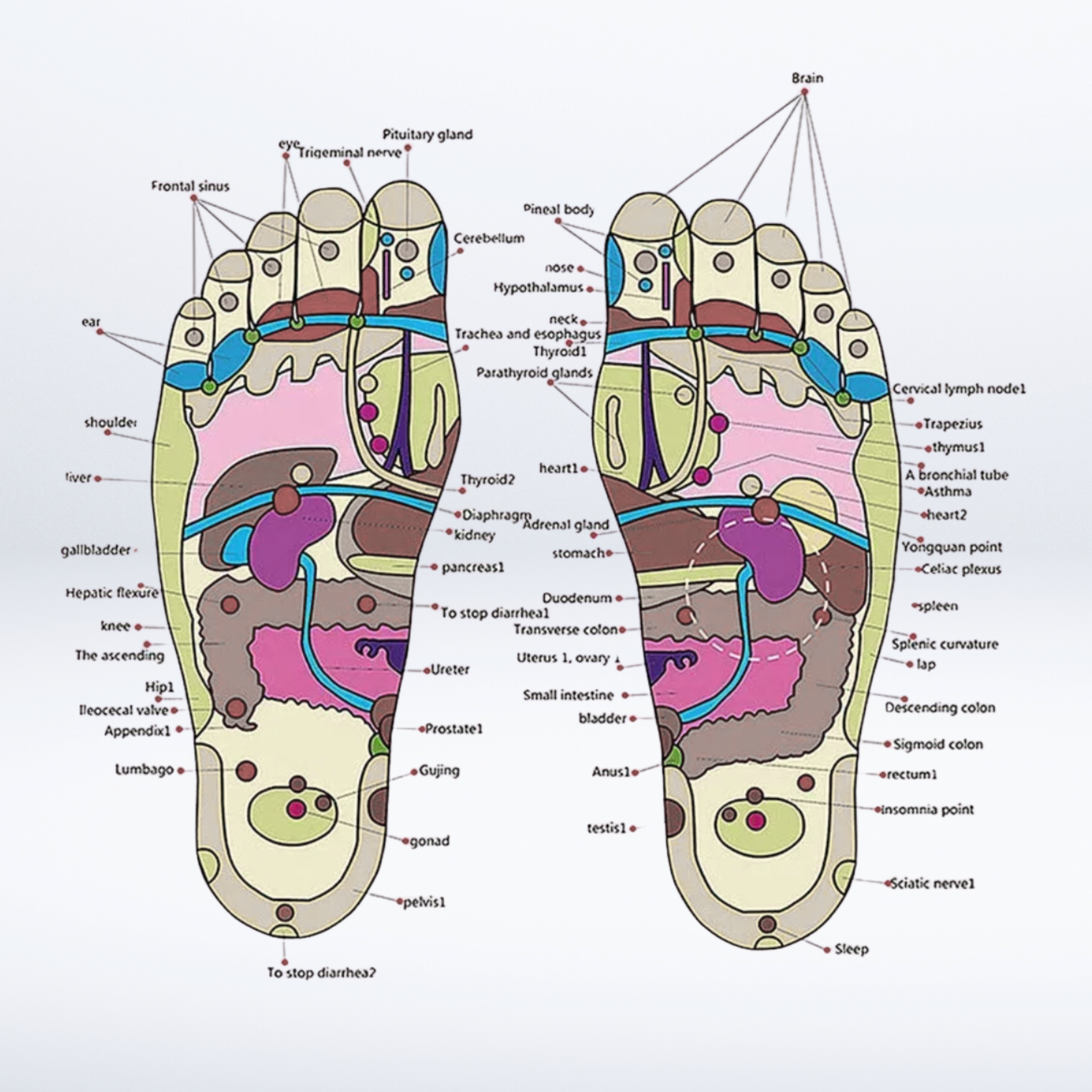 RevitaPoint™ | Acupressuur Massageslippers